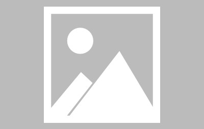 bob半岛体育-张镇麟：5年4冠压力大如高压锅 我跟弗格一起的时间比他老婆都长